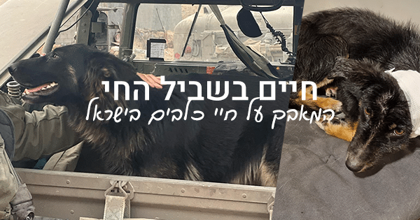 חיים בשביל החי - עמוד הבית